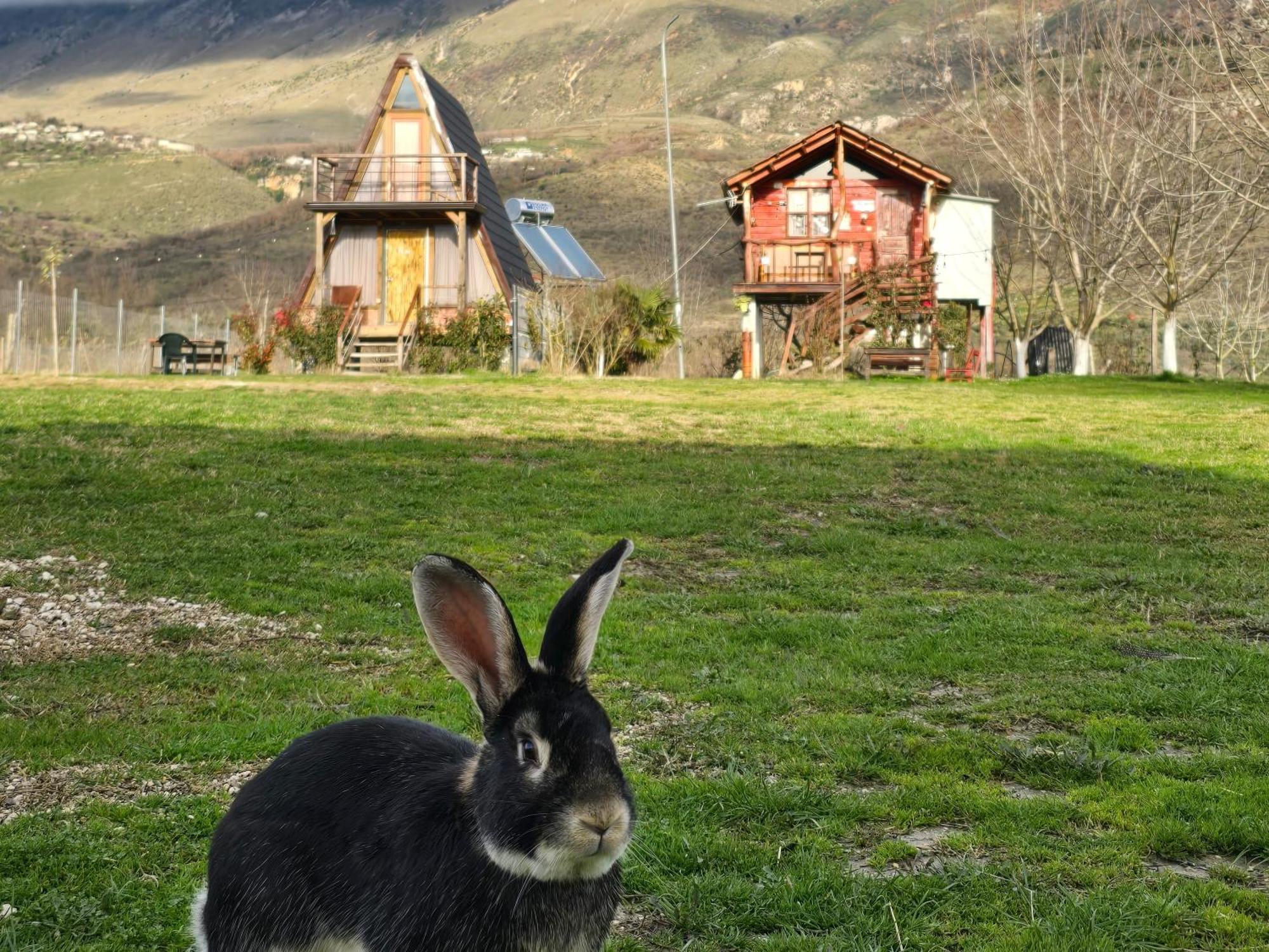 فندق Life On The Farm Nepravishte المظهر الخارجي الصورة