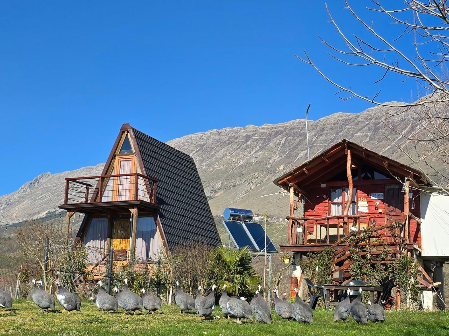 فندق Life On The Farm Nepravishte المظهر الخارجي الصورة